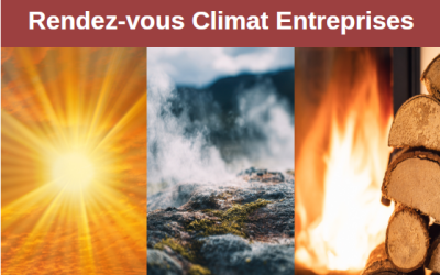 Énergies renouvelables : un levier économique pour votre entreprise